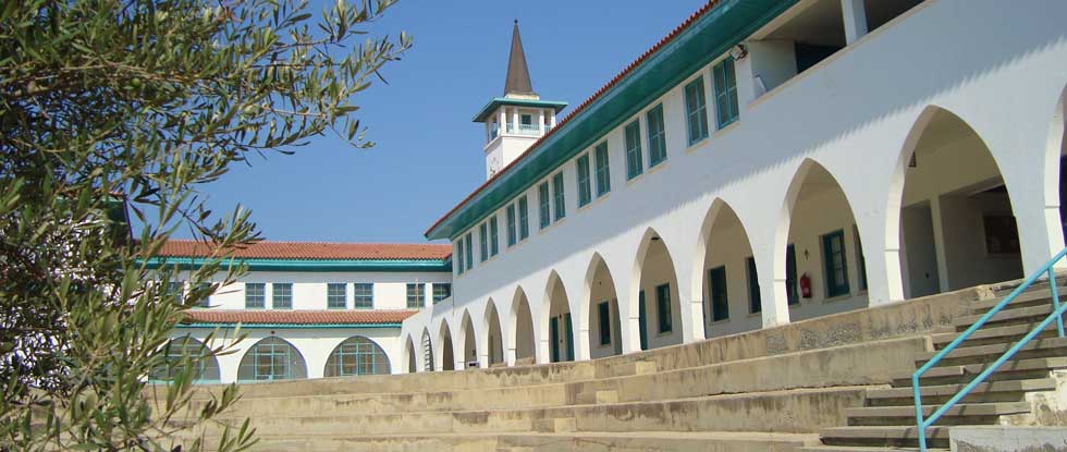 Университет Кипра на 228-м месте среди «зеленых» вузов мира