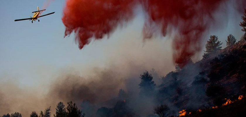 Вчера в районе Пафоса полыхал крупный лесной пожар | CypLIVE