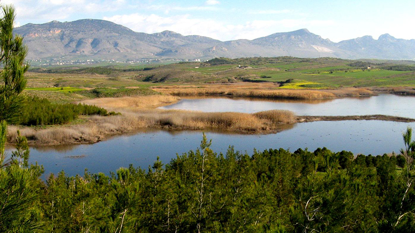 Экологи раскритиковали властей Кипра за несоблюдение природоохранных директив | CypLIVE