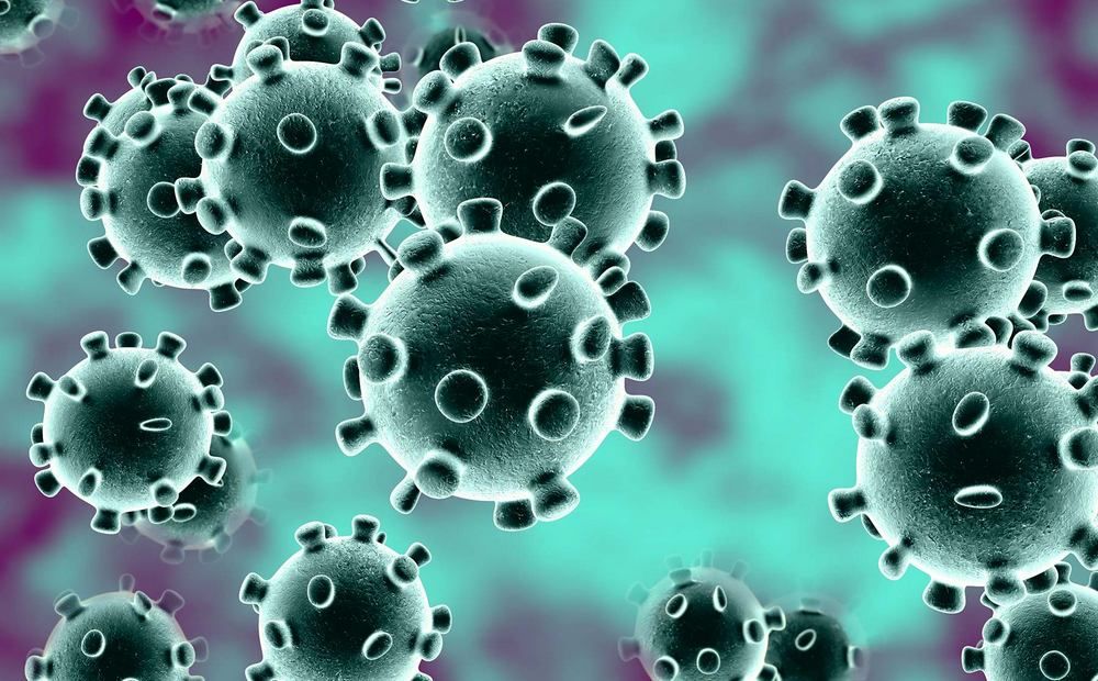 Можно ли заболеть коронавирусом повторно? - Вестник Кипра