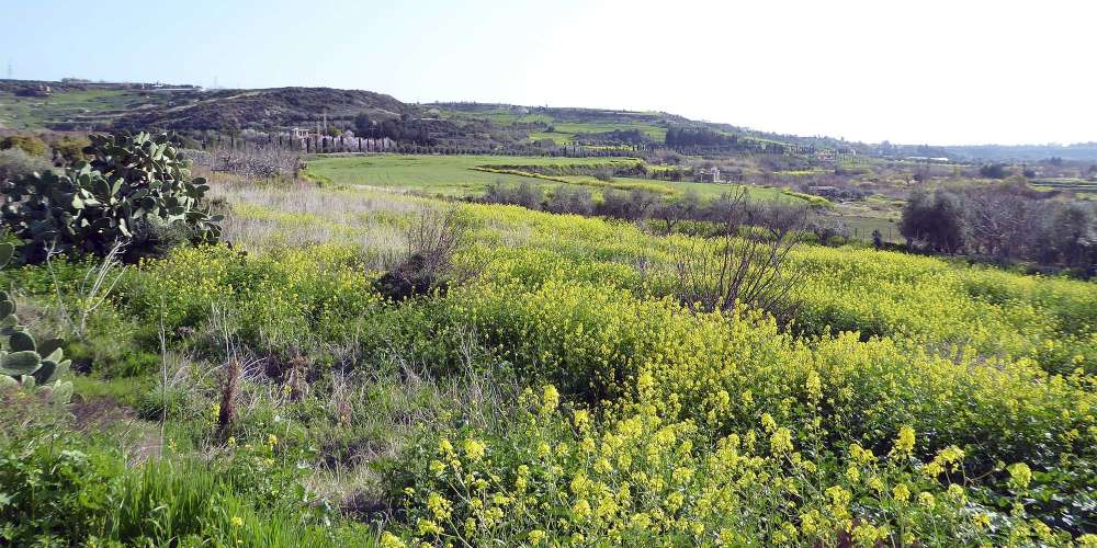 Пешие прогулки в долине Эзуса - Вестник Кипра