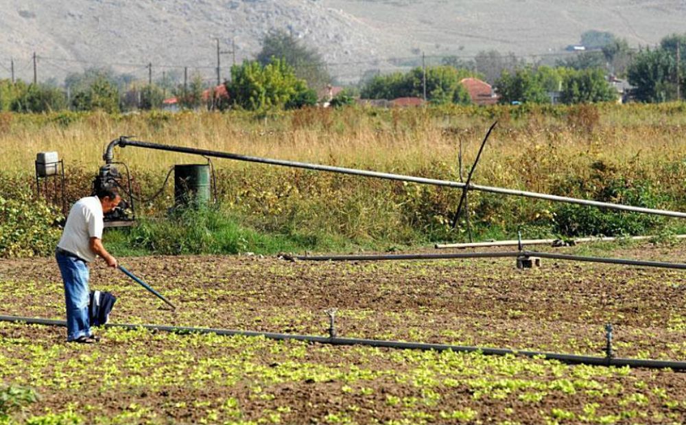 Кипрским фермерам возместят 361,9 тыс. евро - Вестник Кипра