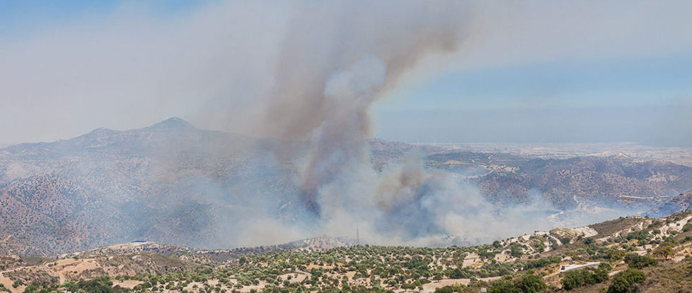 Пожар на Кипре продолждается