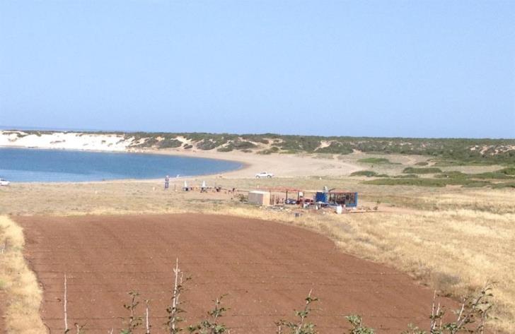 Киприот пытался построить бассейн на черепашьем пляже - Вестник Кипра