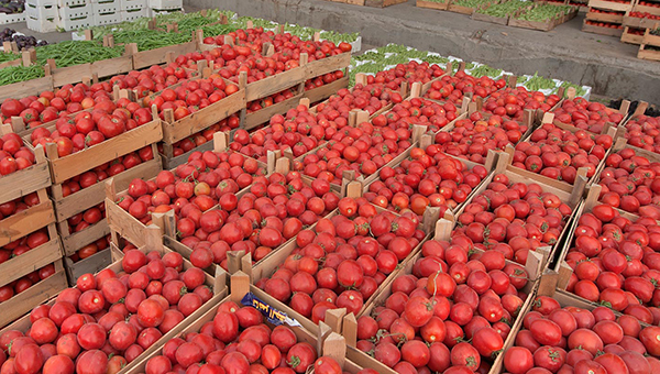 Кипрский рынок заполнен контрабандными томатами