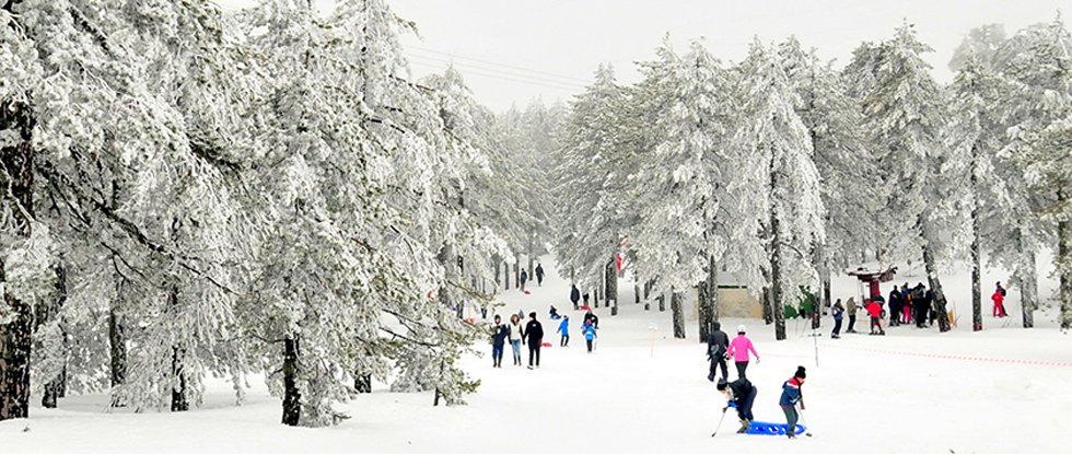 Кипрские полицейские спасли школьников из снежной ловушки