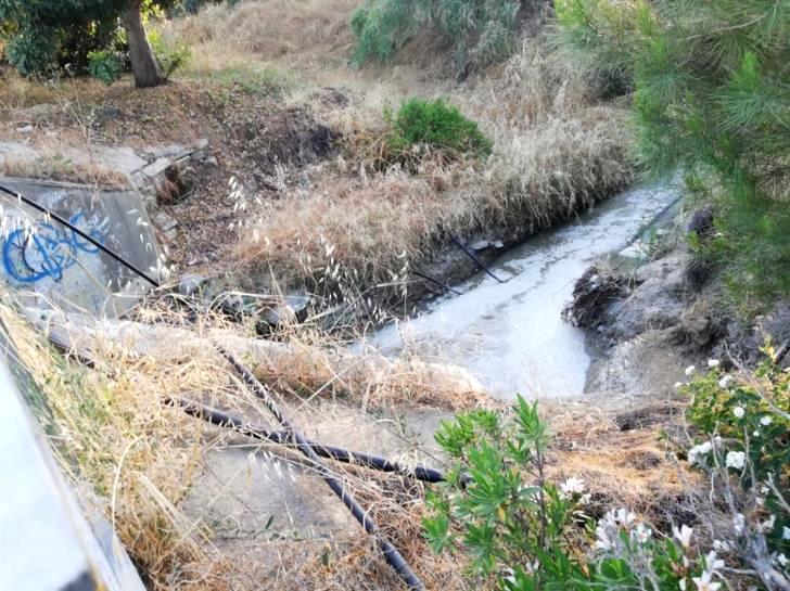 В реку Педиэос снова попали канализационные отходы - Вестник Кипра
