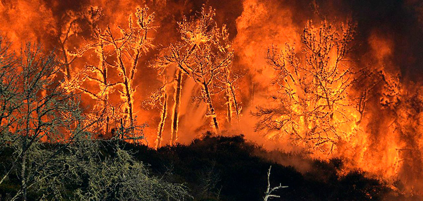Установившаяся на Кипре жара угрожает острову лесными пожарами | CypLIVE