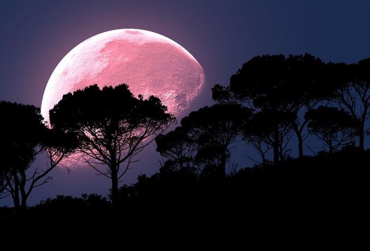 19 апреля на небосклон взойдет «Розовая луна»