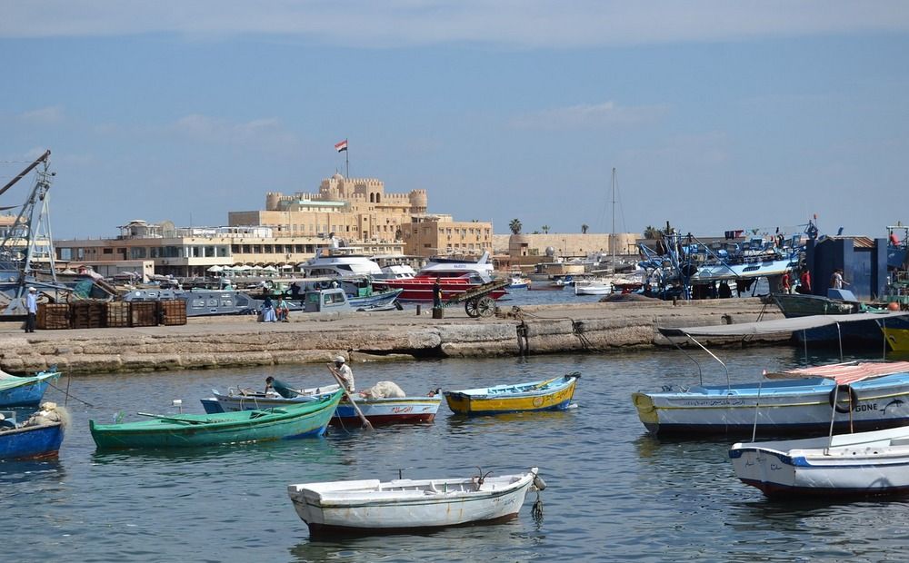 Из Пафоса в Александрию - Вестник Кипра