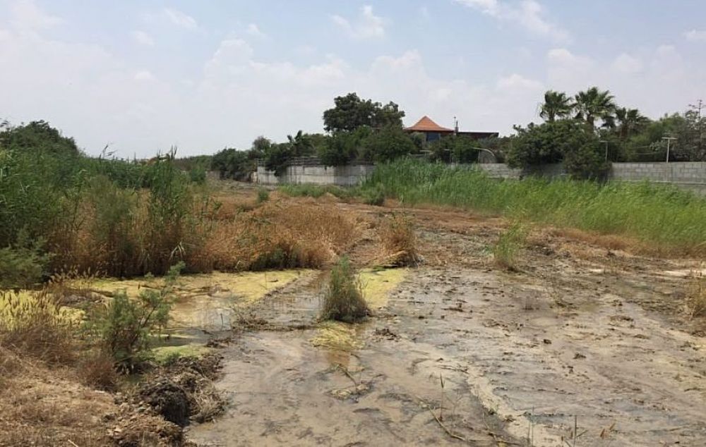 Река в Ливадье превратилась в опасное болото - Вестник Кипра