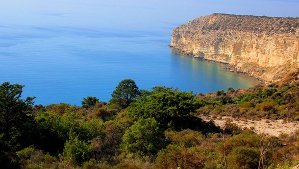 На Кипре появятся новые охранные зоны дикой природы