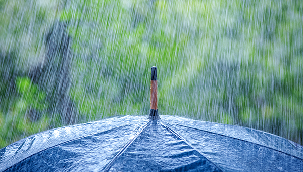 С зонтами не расставайтесь! В предстоящие выходные киприотов ждут дожди и грозы | CypLIVE