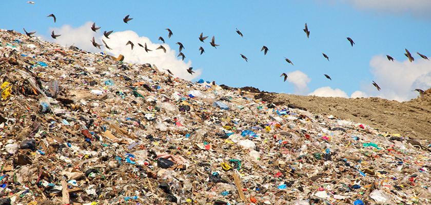Запрет Китая на импорт отходов может превратить Кипр в мусорный полигон Европы | CypLIVE