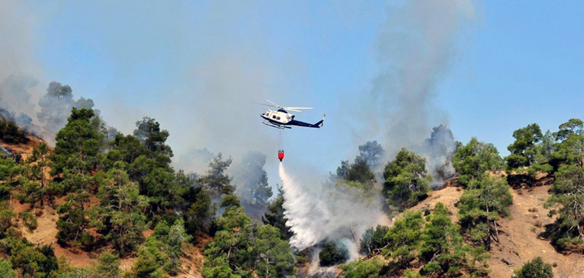 Кипру возместят полученный от лесных пожаров ущерб | CypLIVE