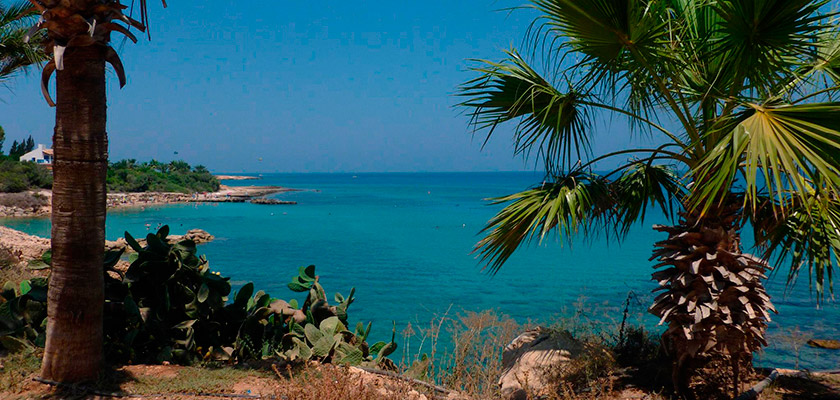 Самый длинные длинный день на Кипре обещает быть теплым | CypLIVE