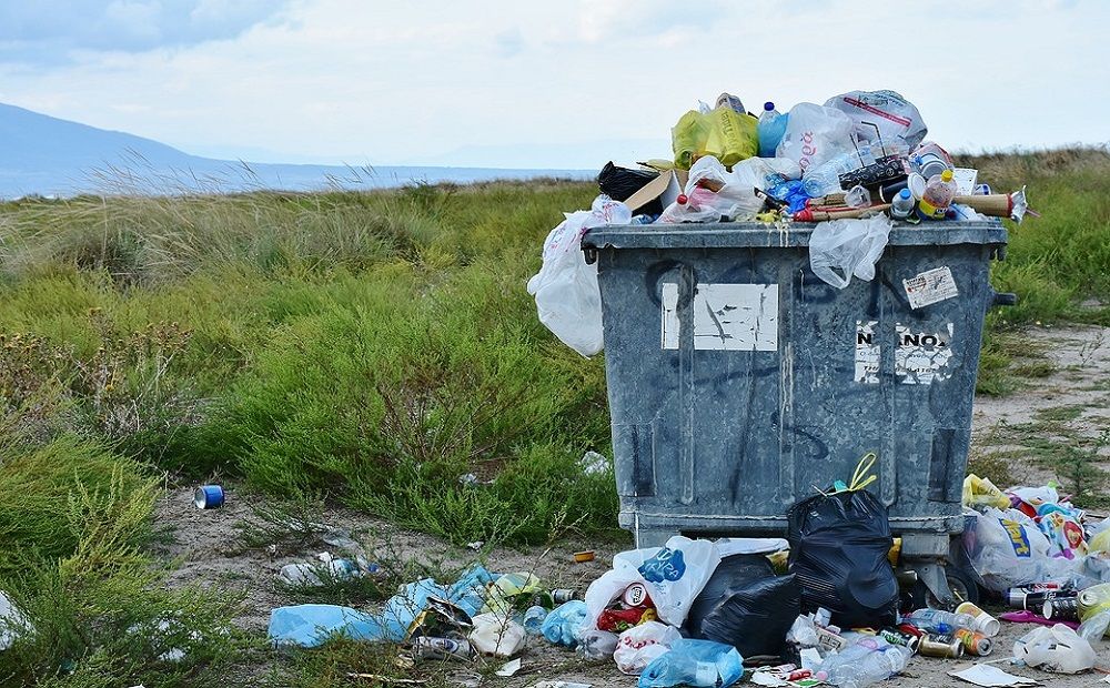 Каждый житель Кипра выбрасывает полтонны мусора - Вестник Кипра