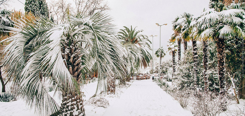 На Кипре начинается настоящая зима! В Лимассол завозят снег | CypLIVE