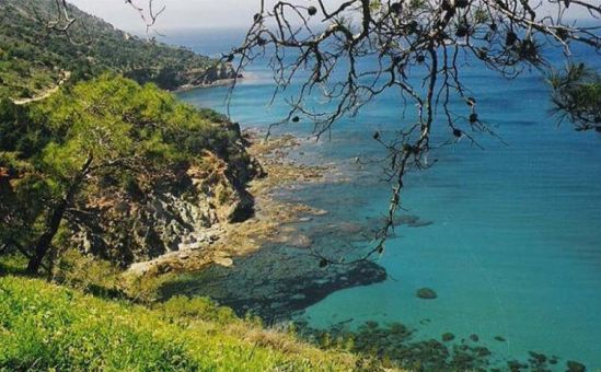 Еврокомиссия недовольна отношением Кипра к морской природе - Вестник Кипра