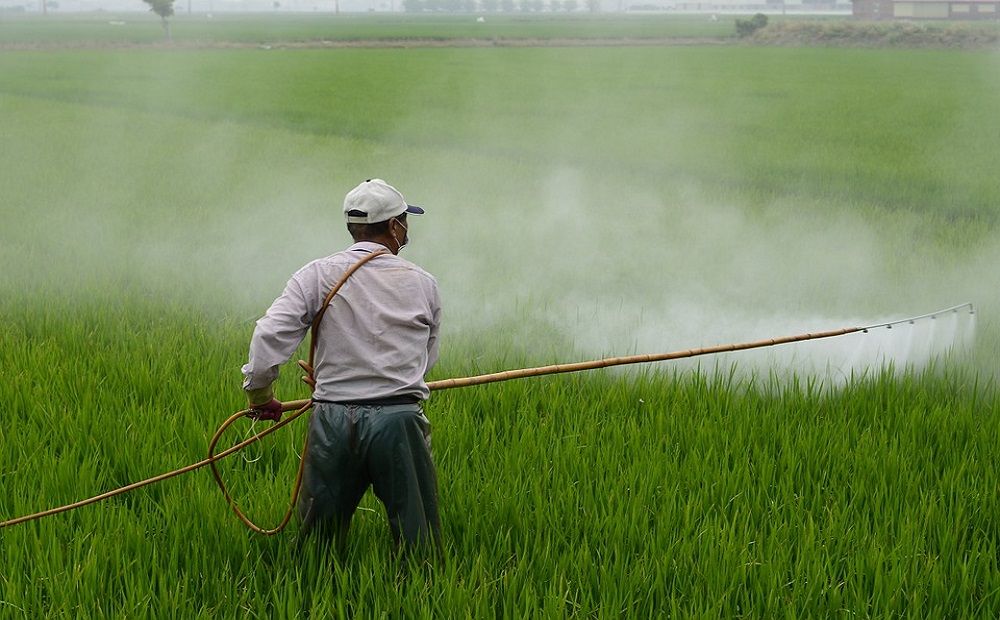 Штрафы за пестициды вырастут в два раза - Вестник Кипра