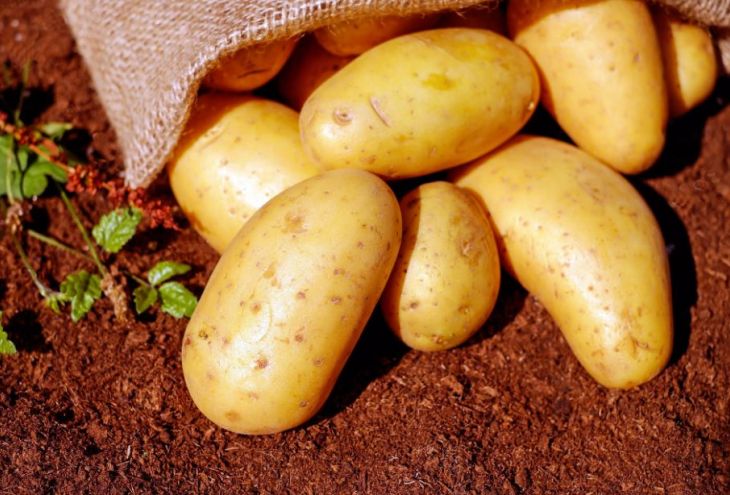 Власти Кипра хотят получить статус PDO для «красного» картофеля 