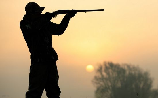 На Кипре появится партия охотников? - Вестник Кипра