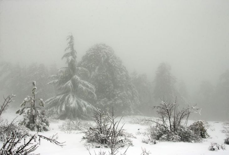 В Троодосе снегопад, туман, гололед и камнепад 