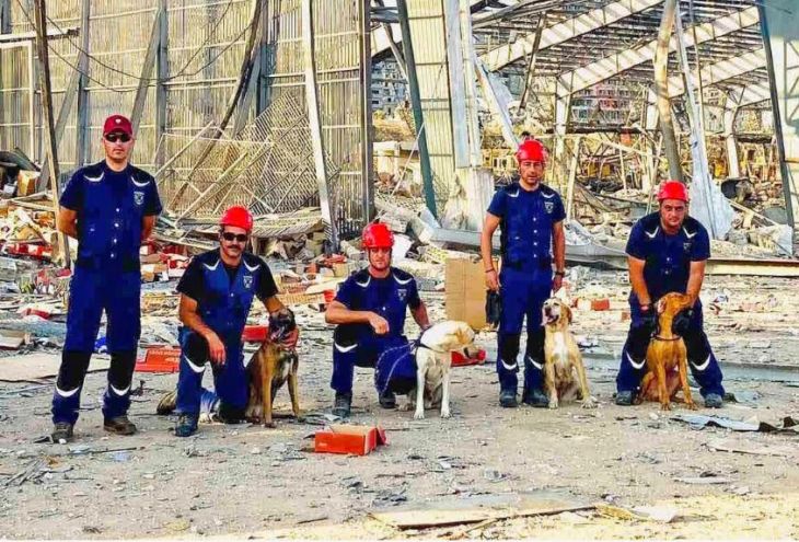 4 ноября — праздник у собак-спасателей пожарного департамента Кипра. А также у всех зверей мира