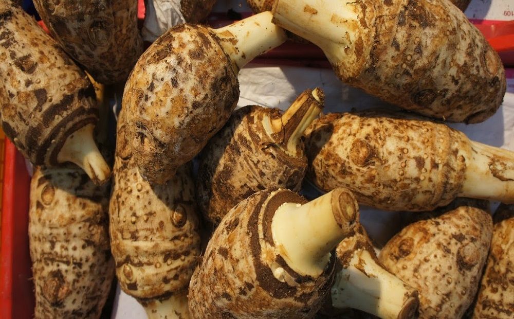 Фестиваль колокаси научит готовить странную картошку - Вестник Кипра