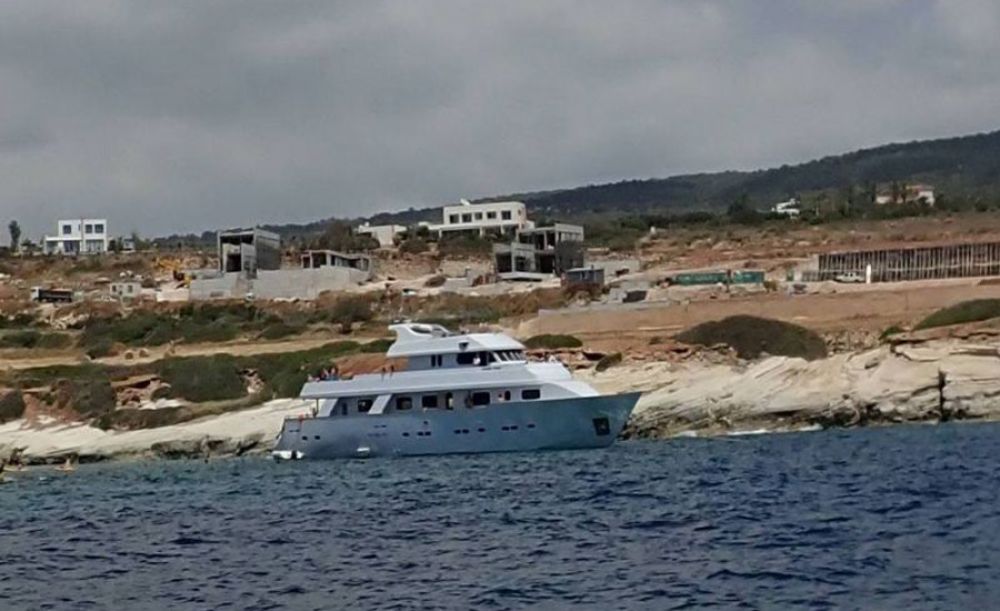 Яхты мешают тюленям - Вестник Кипра