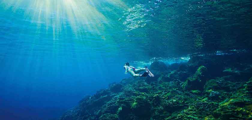 Первый морской парк для подводного плавания на Кипре | CypLIVE
