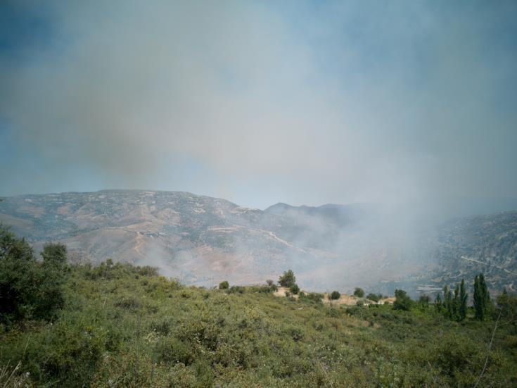За поджог леса могут ввести пожизненный срок - Вестник Кипра
