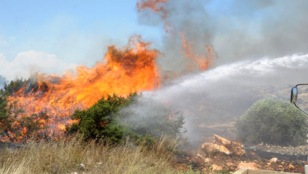 Двое пожарных погибли при тушении крупного возгорания на юго-западе Кипра | CypLIVE