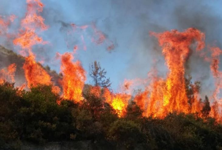 К северу от Лимассола вновь вспыхнул пожар
