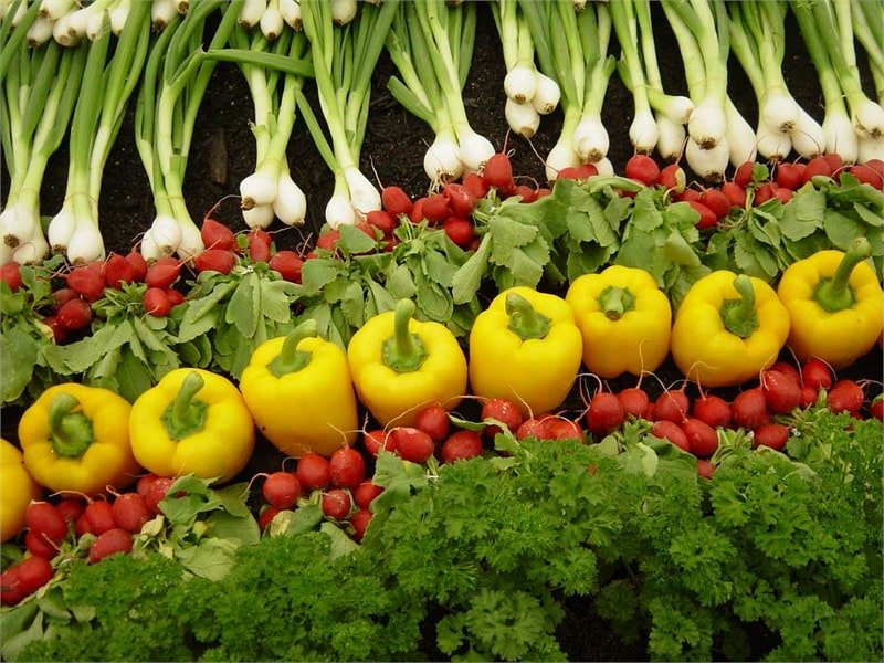 Органические продукты на Кипре на 100% дороже