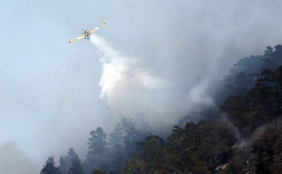 Киприоты помогают израильтянам справиться с лесными пожарами - Вестник Кипра