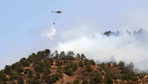 Пожарные Кипра говорят о поджоге леса близ Пафоса | CypLIVE