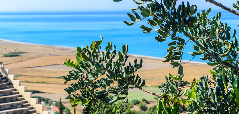 В выходные на Кипре будет тепло и солнечно | CypLIVE