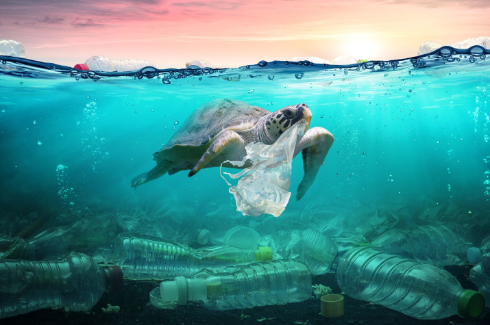 Загрязнение пластиком угрожает морской жизни Кипра