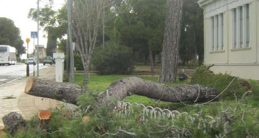 Как ураган унес половину Кипра - Вестник Кипра