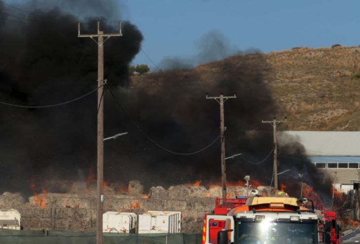 На Кипре действует «красный» уровень пожарной опасности. Уже сгорели завод по переработке мусора и часть соснового леса Кипарисии