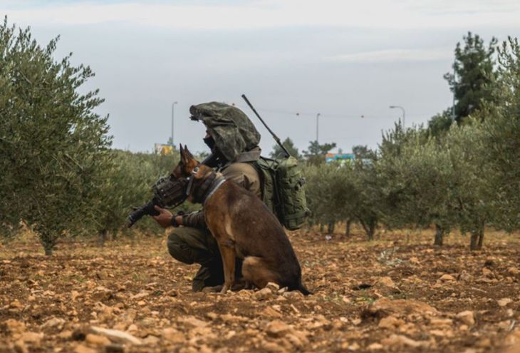 Израильский спецназ готовился на Кипре к миссиям в секторе Газа, Ливане и Сирии 