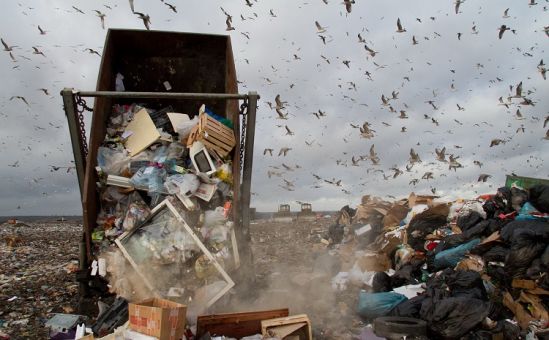 Кипр – будущий мусорный полигон? - Вестник Кипра
