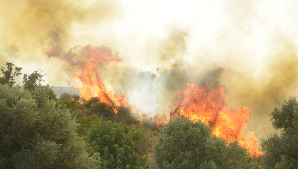 Пожарная служба Кипра устранила три возгорания в районе Лимассола