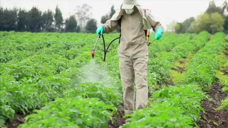 Позор пользователям пестицидов