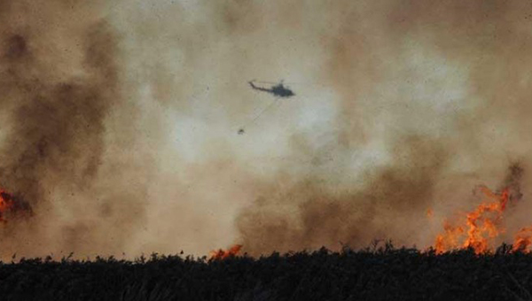 Правительство Кипра объявило неделю «Пожарной безопасности» 