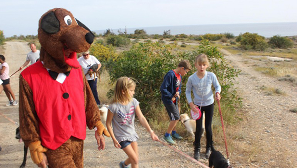 Любитель животных пробежит Кипрский марафон в костюме собаки | CypLIVE