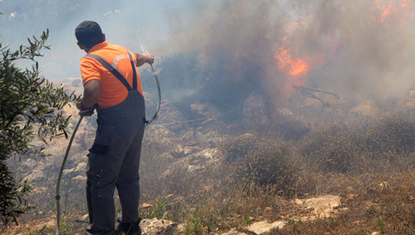 Пожарные Кипра взяли под контроль возгорание у Аласса | CypLIVE