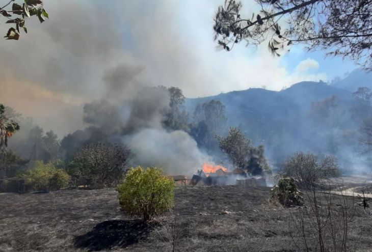 В пожаре в деревне Оду погибли четыре человека
