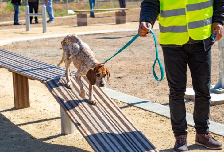 Власти Лимассола презентовали учебно-развлекательный парк для собак 